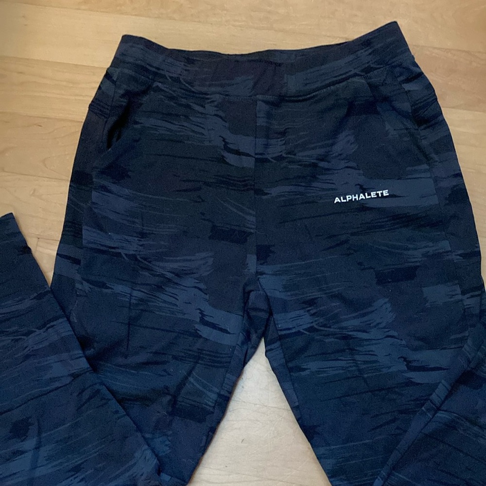 Men’s Alphalete Joggers (L)